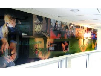 2007  Photographic panels mounted on acrylic